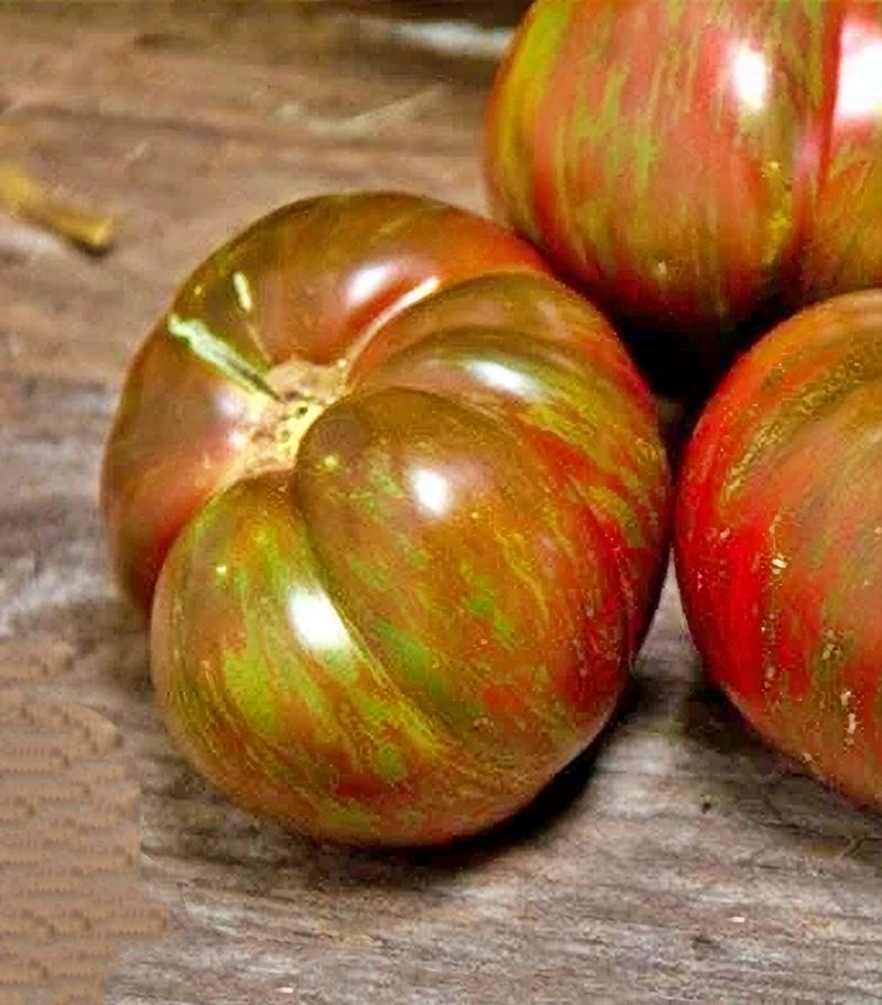 Large Barred Boar, Tomato - BoxGardenSeedsLLC -Tomatoes,Tomatillos - Seeds