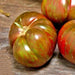 Large Barred Boar, Tomato, - BoxGardenSeedsLLC -Tomatoes,Tomatillos - Seeds