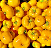 Azoychka, Tomato - BoxGardenSeedsLLC - Tomatoes,Tomatillos - Seeds - 