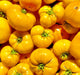 Azoychka, Tomato, -- BoxGardenSeedsLLC -Tomatoes,Tomatillos - Seeds