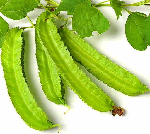 Winged or Dragon, Asian Bean, - BoxGardenSeedsLLC -Beans / Dry Beans - Seeds