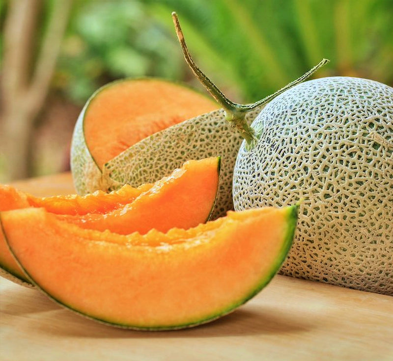 Top Mark, Cantaloupe - BoxGardenSeedsLLC - Melons, Cantaloupe - Seeds - Thank you for shopping here today, Non GMO Seeds, Naturally Grown Seeds, Grown to Organic Standards, Heirloom Seeds, Open Pollinated Seeds, Fresh Premier Seeds, USA Seller
