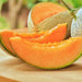 Top Mark, Cantaloupe, - BoxGardenSeedsLLC -Melons, Cantaloupe - Seeds