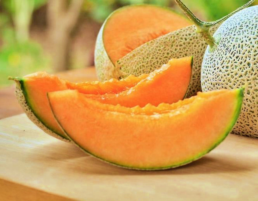 Top Mark, Cantaloupe, - BoxGardenSeedsLLC -Melons, Cantaloupe - Seeds