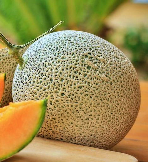 Top Mark, Cantaloupe, - BoxGardenSeedsLLC -Melons, Cantaloupe - Seeds