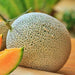 Top Mark, Cantaloupe, - BoxGardenSeedsLLC -Melons, Cantaloupe - Seeds