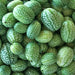 Cucamelon, Mexican Sour Gherkin, - BoxGardenSeedsLLC -Melons, Cantaloupe - Seeds