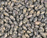 - BoxGardenSeedsLLC - Tendergreen, Bush Beans, - Beans / Dry Beans - Seeds