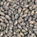 Tendergreen, Bush Beans, - BoxGardenSeedsLLC -Beans / Dry Beans - Seeds