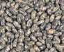 Tendergreen, Bush Beans, -- BoxGardenSeedsLLC -Beans / Dry Beans - Seeds