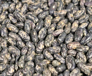 Tendergreen, Bush Beans - BoxGardenSeedsLLC - Beans / Dry Beans - Seeds - USA Seller, Thank you for shopping here today, Naturally Grown GMO Free Seeds, Heirloom Open Pollinated Seeds, Fresh Top Quality Premium Seeds