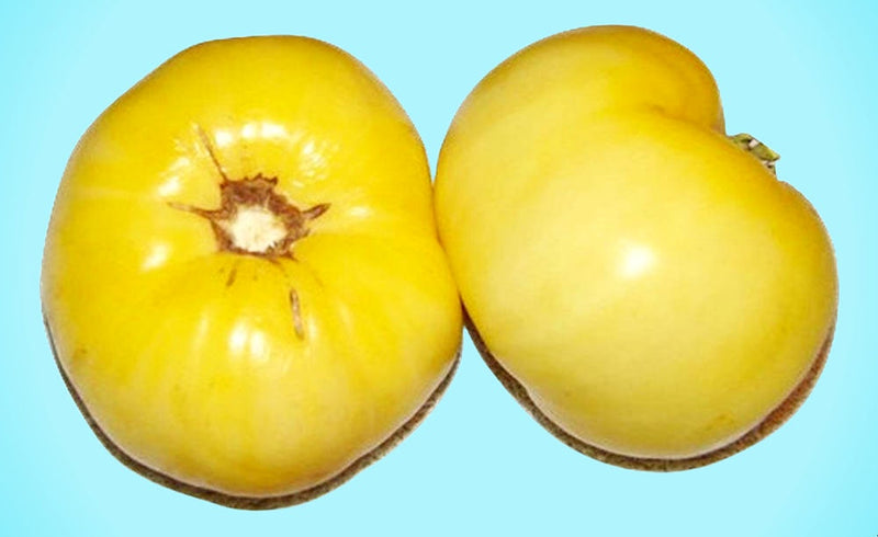 Great White, Tomato - BoxGardenSeedsLLC - Tomatoes,Tomatillos - Seeds - 