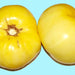 Great White, Tomato, - BoxGardenSeedsLLC -Tomatoes,Tomatillos - Seeds