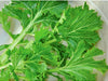 Mizuna, Mustard, -- BoxGardenSeedsLLC -Gourmet/Native Greens - Seeds