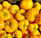 Azoychka, Tomato, -- BoxGardenSeedsLLC -Tomatoes,Tomatillos - Seeds