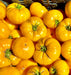 Azoychka, Tomato, -- BoxGardenSeedsLLC -Tomatoes,Tomatillos - Seeds