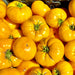 Azoychka, Tomato, - BoxGardenSeedsLLC -Tomatoes,Tomatillos - Seeds