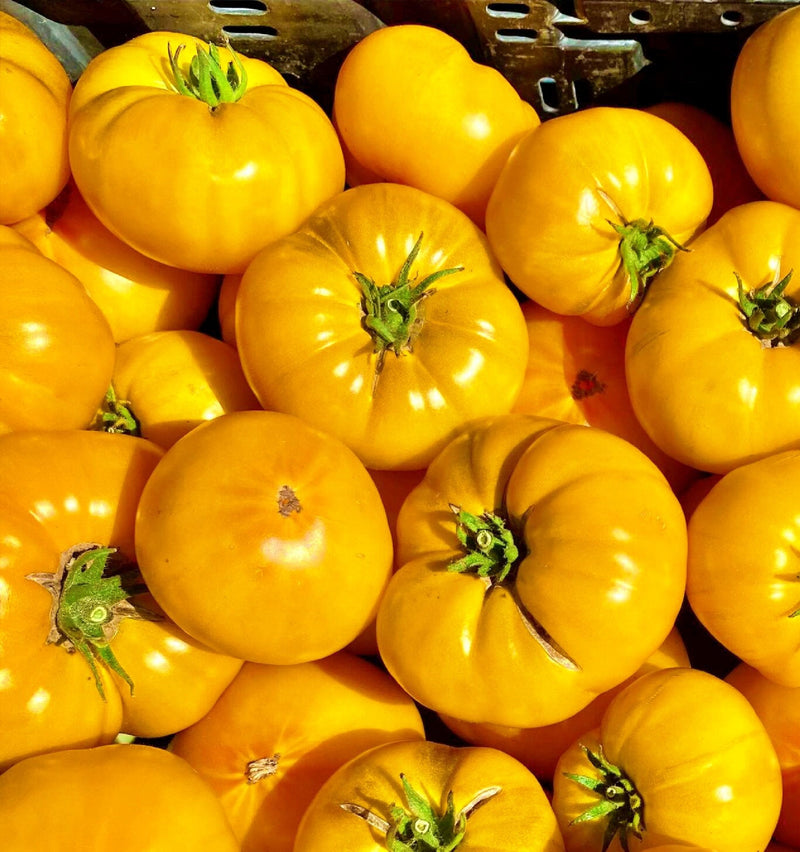 Azoychka, Tomato - BoxGardenSeedsLLC - Tomatoes,Tomatillos - Seeds - 