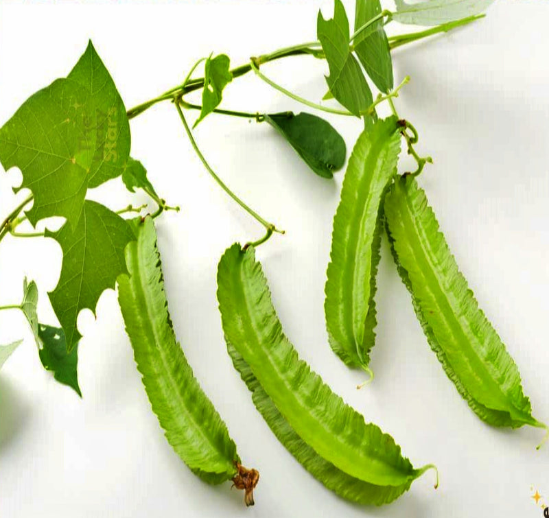 Winged or Dragon, Asian Bean - BoxGardenSeedsLLC - Beans / Dry Beans - Seeds - USA Seller, Thank you for shopping here today, Naturally Grown GMO Free Seeds, Heirloom Open Pollinated Seeds, Fresh Top Quality Premium Seeds
