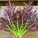 Crimson Tide, Mustard, - BoxGardenSeedsLLC -Gourmet/Native Greens - Seeds