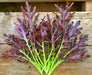 Crimson Tide, Mustard, -- BoxGardenSeedsLLC -Gourmet/Native Greens - Seeds