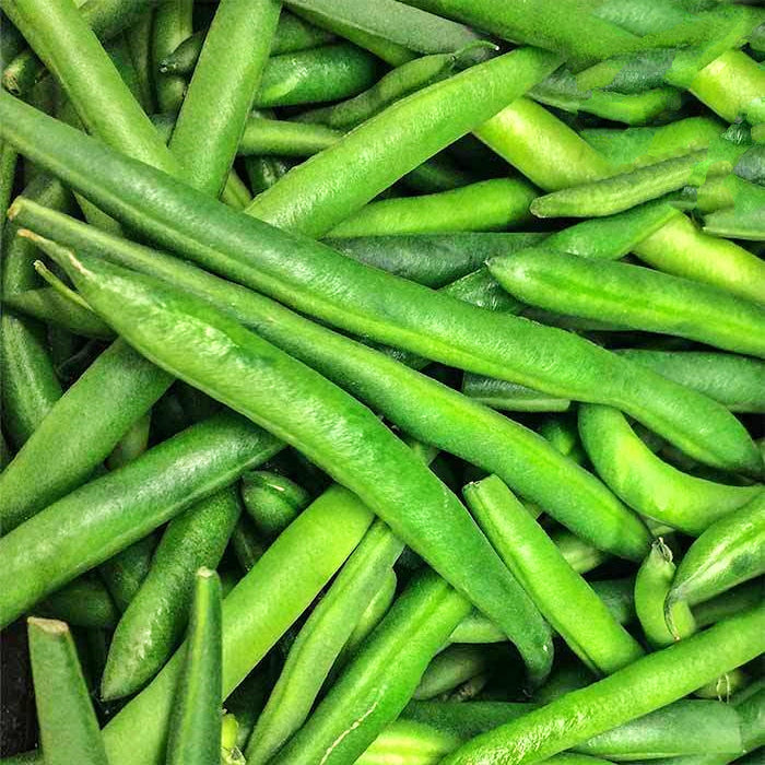 Tendergreen, Bush Beans, -- BoxGardenSeedsLLC -Beans / Dry Beans - Seeds