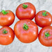 Fireworks, Tomato - BoxGardenSeedsLLC -Tomatoes,Tomatillos - Seeds