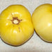 Great White, Tomato, - BoxGardenSeedsLLC -Tomatoes,Tomatillos - Seeds