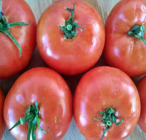 Moscow, Tomato, -- BoxGardenSeedsLLC -Tomatoes,Tomatillos - Seeds