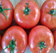 - BoxGardenSeedsLLC - Moscow, Tomato, - Tomatoes,Tomatillos - Seeds