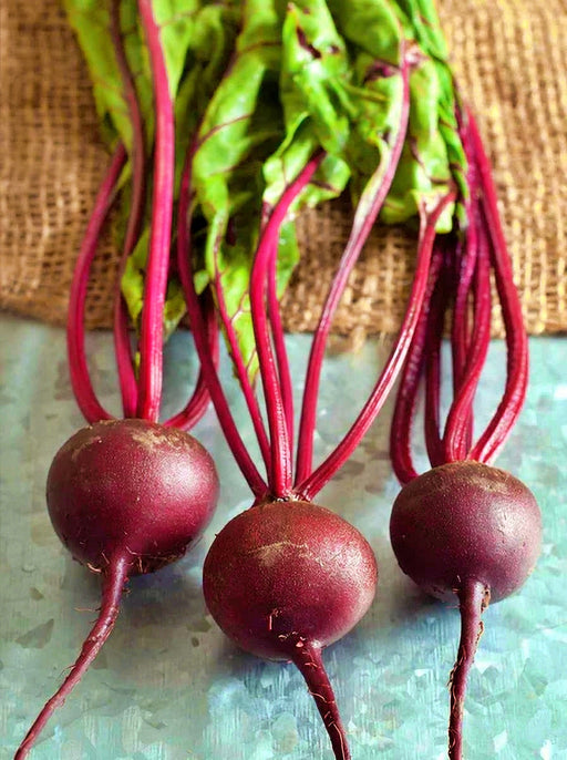 Babybeat, Beets, -- BoxGardenSeedsLLC -Abundant Stock SALE - Seeds