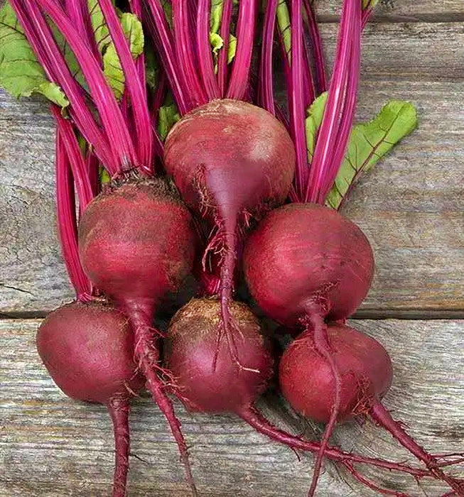 - BoxGardenSeedsLLC - Babybeat, Beets, - Beets,Turnips,Parsnips - Seeds