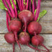 Babybeat, Beets, - BoxGardenSeedsLLC -Abundant Stock SALE - Seeds