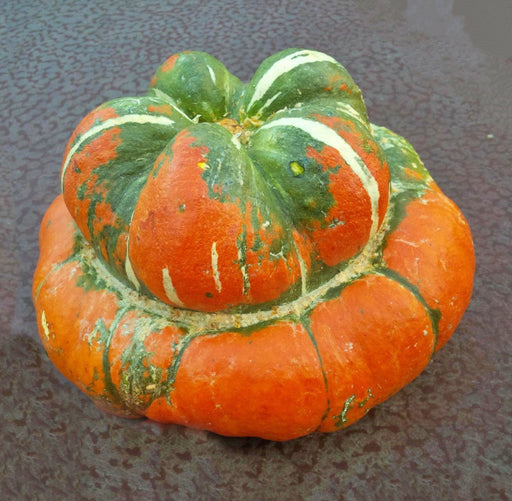 Turks Turban, Squash/Gourd, -- BoxGardenSeedsLLC -Squash,Pumpkins - Seeds