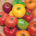 Rainbow Beefsteak Mix, Tomato, - BoxGardenSeedsLLC -Tomatoes,Tomatillos - Seeds