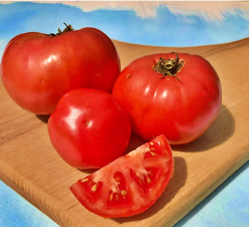 Cosmonaut Volkov, Tomato - BoxGardenSeedsLLC - Tomatoes,Tomatillos - Seeds - 