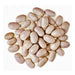 Great Northern, Dry Bush Beans - BoxGardenSeedsLLC - Beans / Dry Beans - Seeds - USA Seller, Thank you for shopping here today, Naturally Grown GMO Free Seeds, Heirloom Open Pollinated Seeds, Fresh Top Quality Premium Seeds