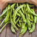 Great Northern, Dry Bush Beans, - BoxGardenSeedsLLC -Beans / Dry Beans - Seeds