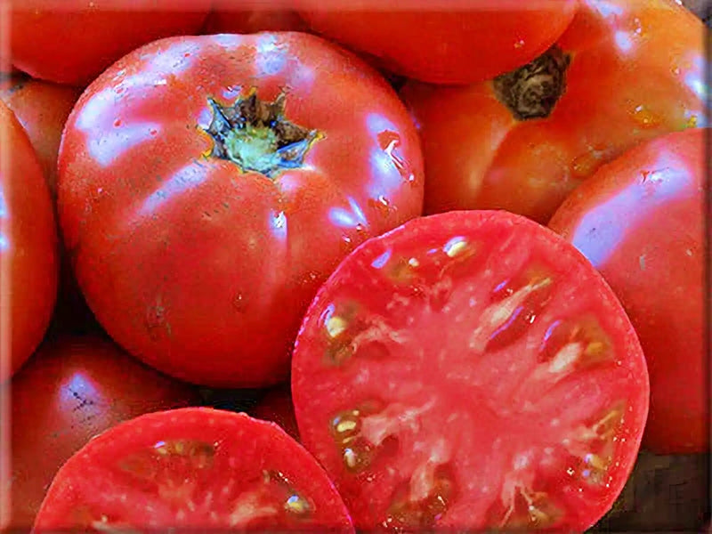 Cosmonaut Volkov, Tomato - BoxGardenSeedsLLC - Tomatoes,Tomatillos - Seeds - 