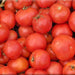 Early Annie, Tomato, - BoxGardenSeedsLLC -Tomatoes,Tomatillos - Seeds