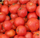 - BoxGardenSeedsLLC - Early Annie, Tomato, - Tomatoes,Tomatillos - Seeds
