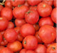 Early Annie, Tomato, -- BoxGardenSeedsLLC -Tomatoes,Tomatillos - Seeds