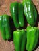 - BoxGardenSeedsLLC - Cascaduro, Sweet Pepper, - Peppers,Eggplants - Seeds