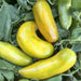 Green Sausage, Tomato, - BoxGardenSeedsLLC -Tomatoes,Tomatillos - Seeds