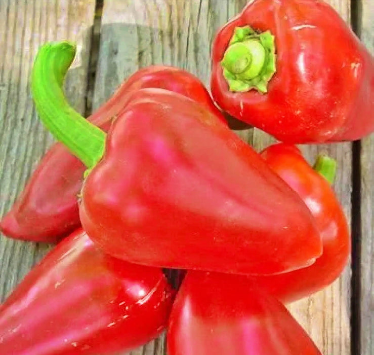 - BoxGardenSeedsLLC - Pimento L, Heirloom Sweet Pepper Seeds Open Pollinated Container Gardening Vegetable Seeds Non-GMO - Peppers,Eggplants - Seeds