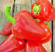Pimento L, Sweet Pepper - BoxGardenSeedsLLC - Peppers,Eggplants - Seeds - USA Seller, Thank you for shopping here today, Naturally Grown GMO Free Seeds, Heirloom Open Pollinated Seeds, Fresh Top Quality Premium Seeds