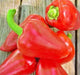 Pimento L, Sweet Pepper, -- BoxGardenSeedsLLC -Peppers,Eggplants - Seeds