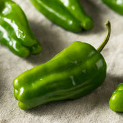 Cascaduro, Sweet Pepper - BoxGardenSeedsLLC - Peppers,Eggplants - Seeds - USA Seller, Thank you for shopping here today, Naturally Grown GMO Free Seeds, Heirloom Open Pollinated Seeds, Fresh Top Quality Premium Seeds