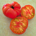 Wherokowhai Dwarf, Tomato, - BoxGardenSeedsLLC -Tomatoes,Tomatillos - Seeds