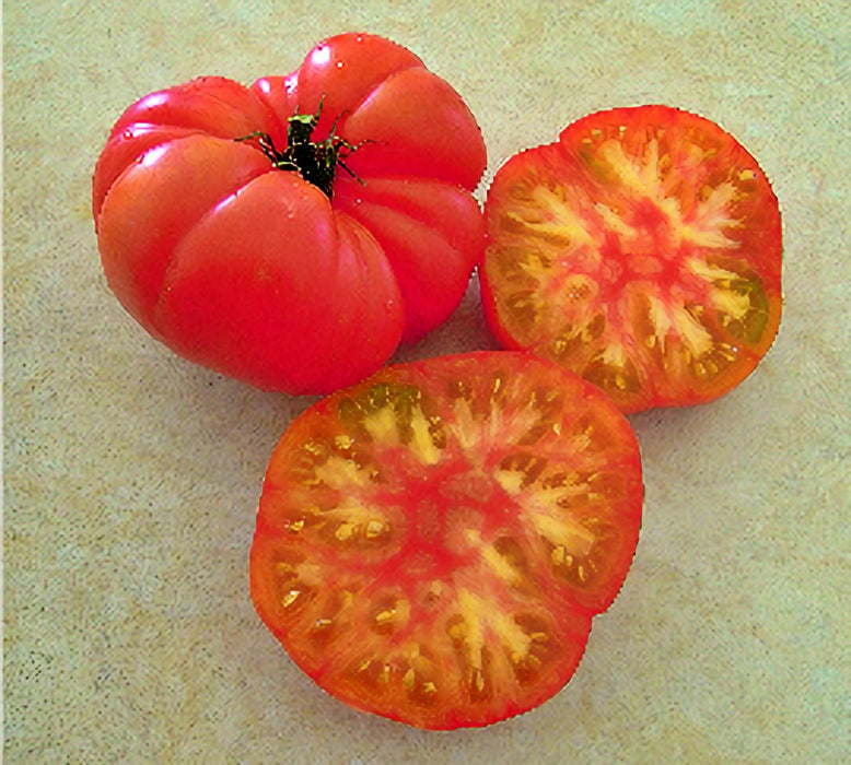 Wherokowhai Dwarf, Tomato, - BoxGardenSeedsLLC -Tomatoes,Tomatillos - Seeds